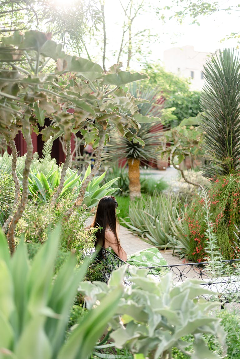 Explore the tranquil beauty of a lush Moroccan garden in Marrakech, showcasing diverse plants and serene ambiance.